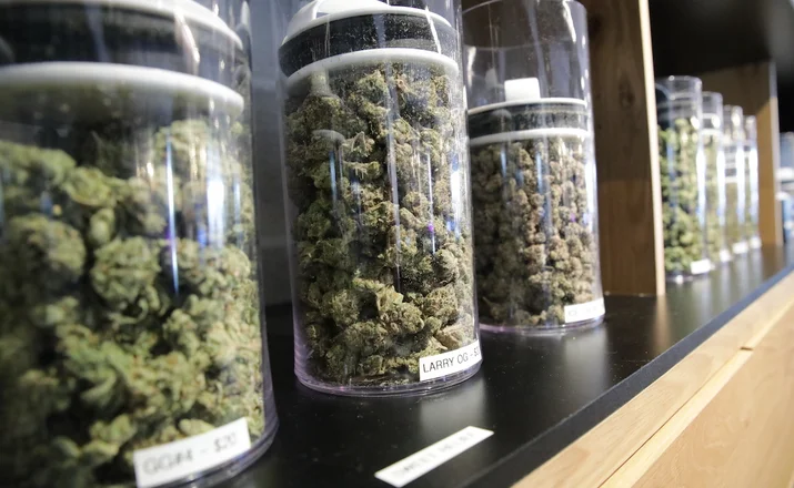 WEED DELIVERY TORONTO: FAST AND RELIABLE CANNABIS AT YOUR DOORSTEP 